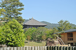 shiki no niwa garden