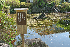 写真説明