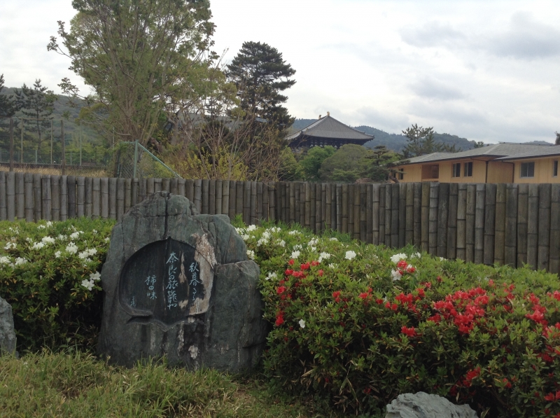 花便り～平戸ツツジ