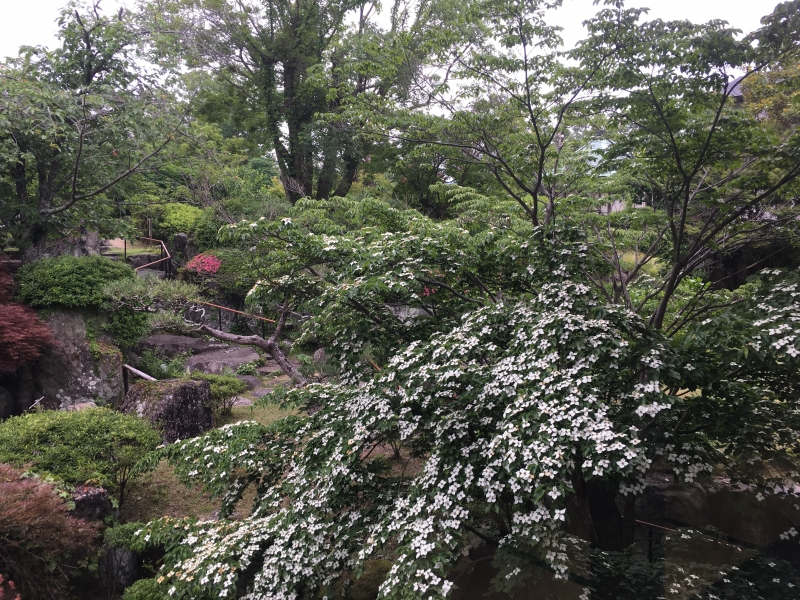 庭守り隊の皆様ありがとうございます！