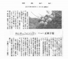 讀賣新聞2019年11月1日